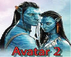 ava_1  H x W: 0
