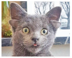 cat_1  H x W: 0