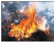 fire_1  H x W: 