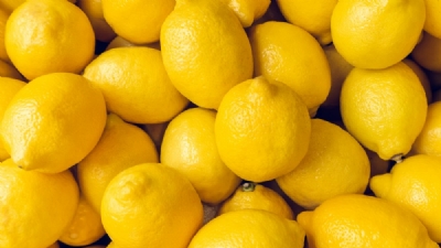 lemon_1  H x W: