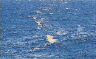 sargasso sea_1  