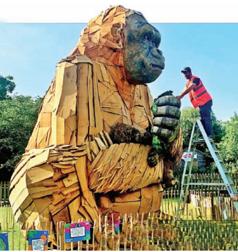 Gorilla