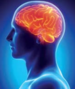 मेंदूच्या स्वास्थ्यासाठी सकारात्मक विचार महत्त्वाचा