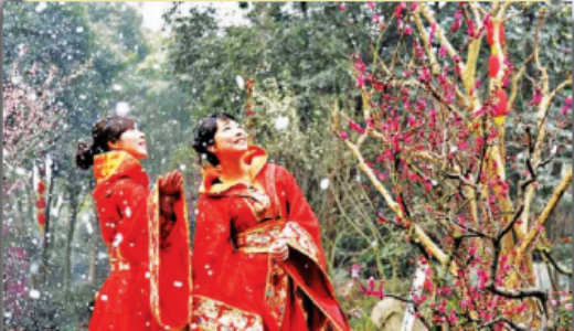 चीन देशाचा वसंताेत्सव