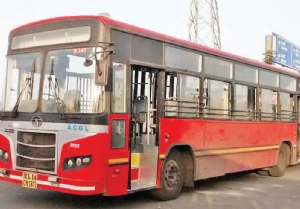 bus