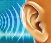 ear