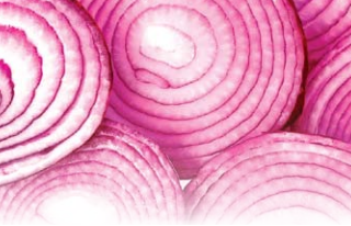 onion