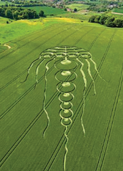 maze
