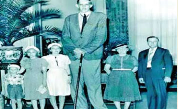 height height