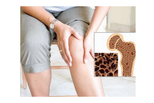 Knee