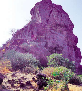 Mount