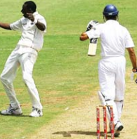 Cricket