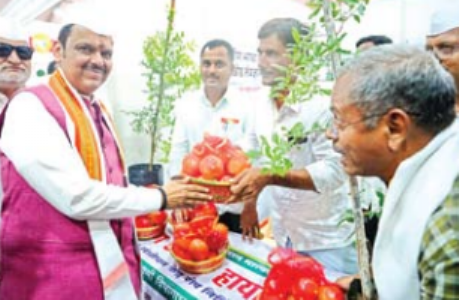शेतीची उत्पादकता वाढवण्यावर शासनाचा भर : मुख्यमंत्री फडणवीस