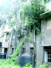 aa