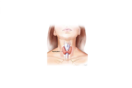 Thyroid