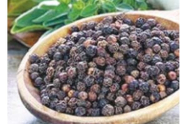 BlackPepper