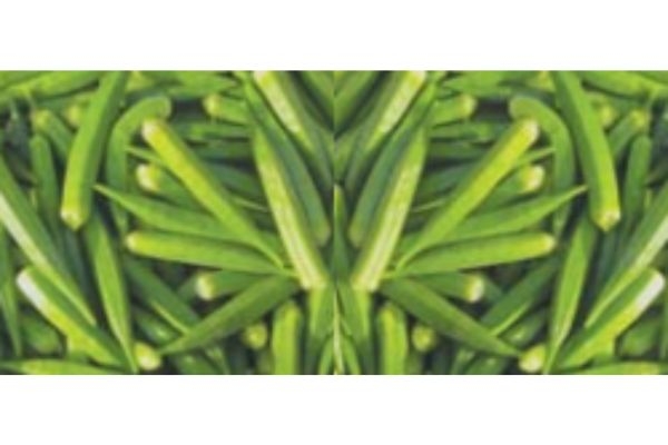 ladyfinger