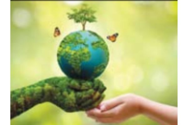 Environmental Awareness 
