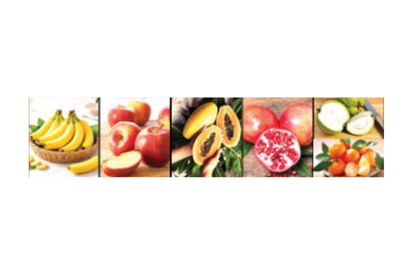 fruits